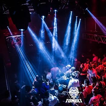 Amazon.com: CHAUVET DJ Intimidator Hybrid 251SR : Musical